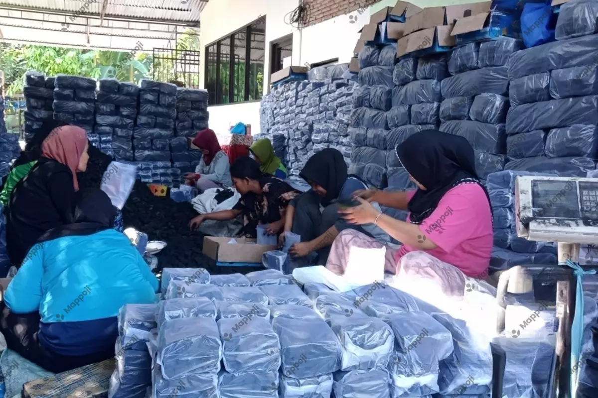 The packaging process for Charcoal Briquettes.