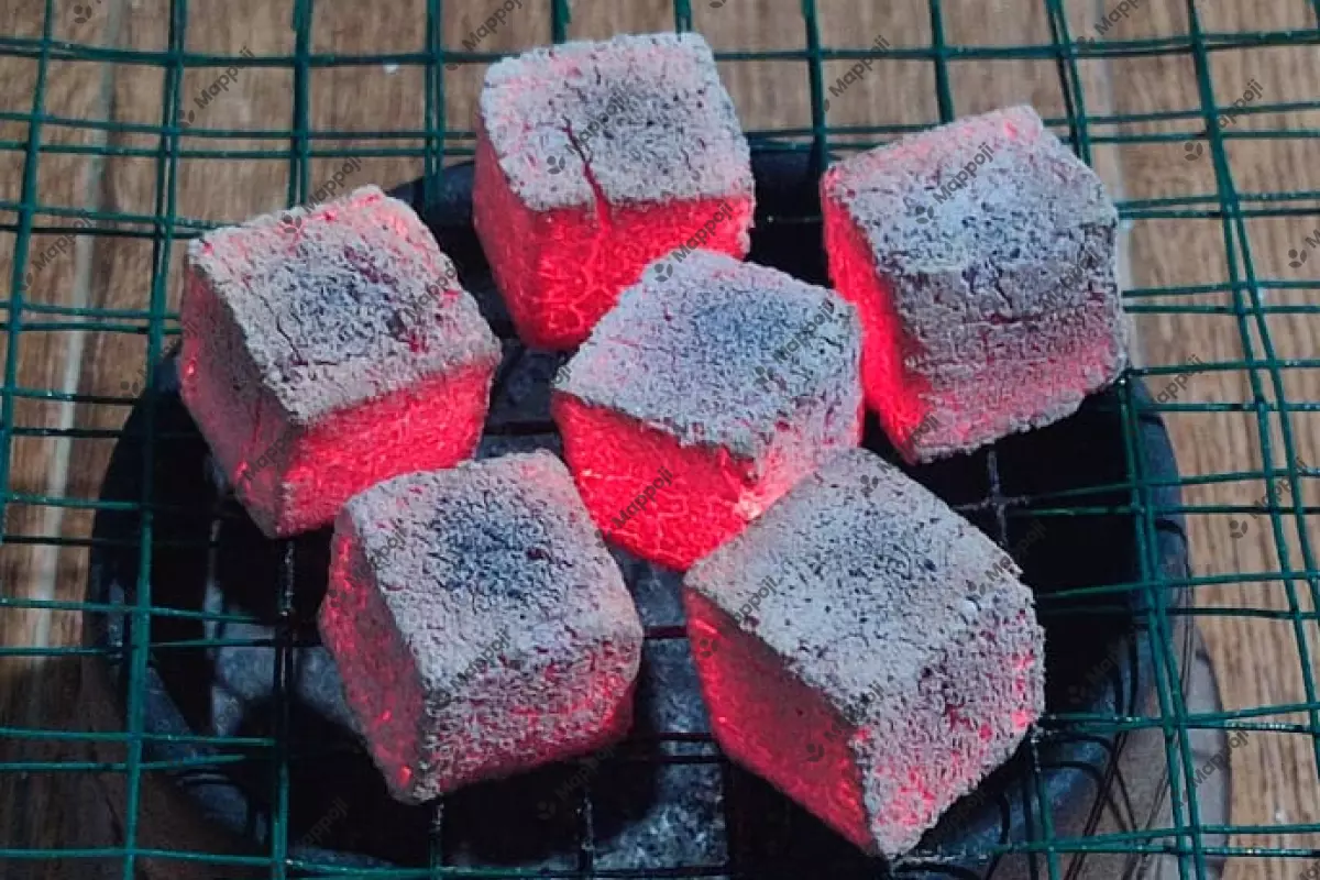 Burning test on Mappoji Charcoal Briquettes.