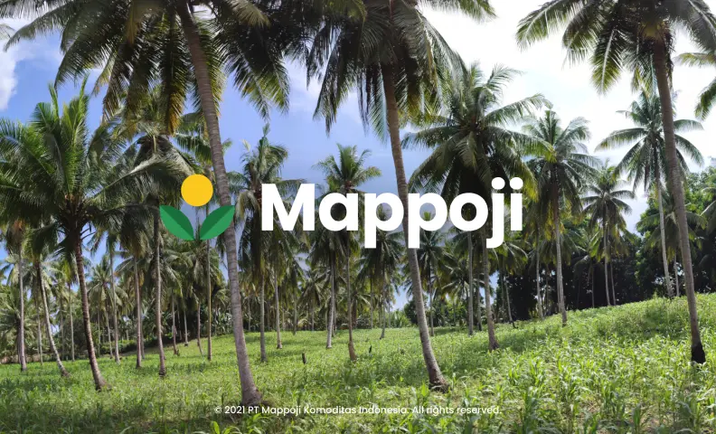 Mappoji: Sharing the Flavors of Sulawesi's Coconut Products