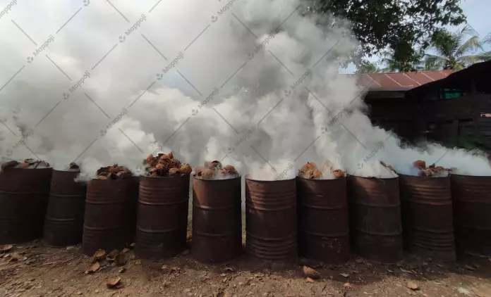 The Process of Making Coconut Shell Charcoal: From Shells to Valuable Fuel